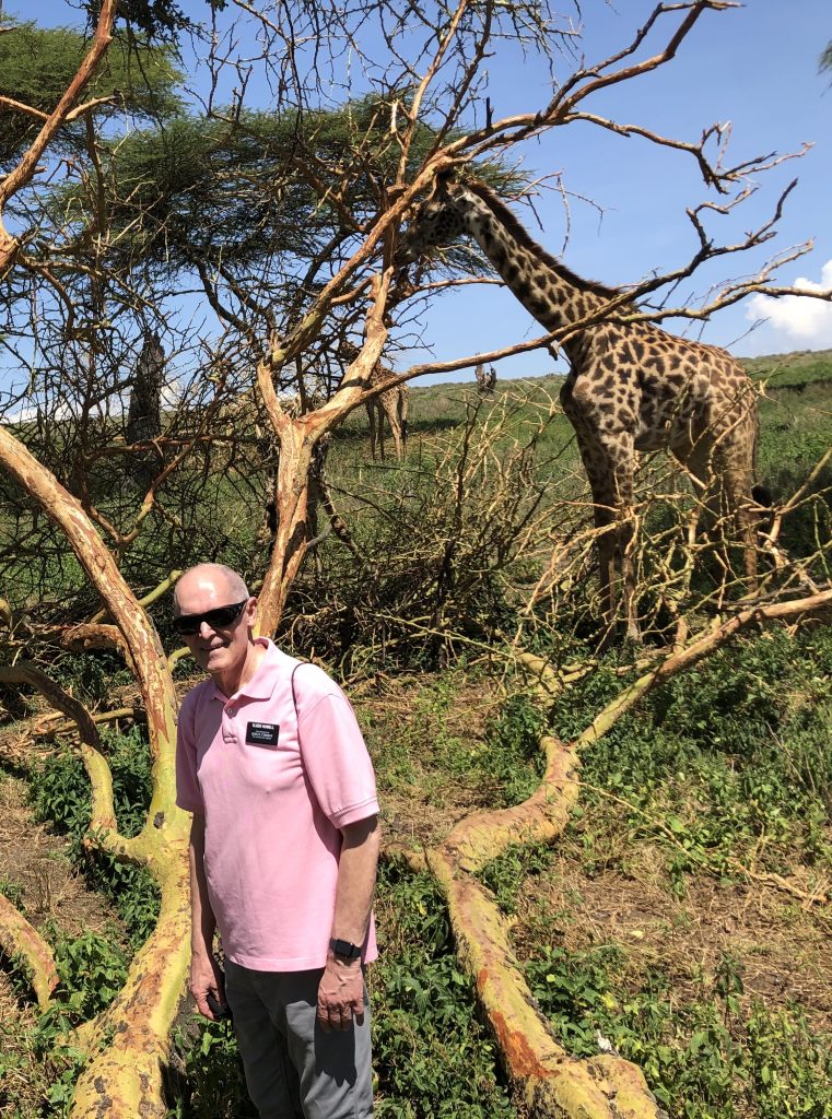 man posing with giraffes on an island