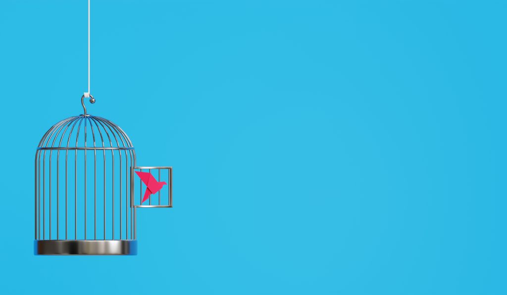 A pink paper bird escaping its cage against a vibrant blue backdrop. 3D rendered creativity at its finest