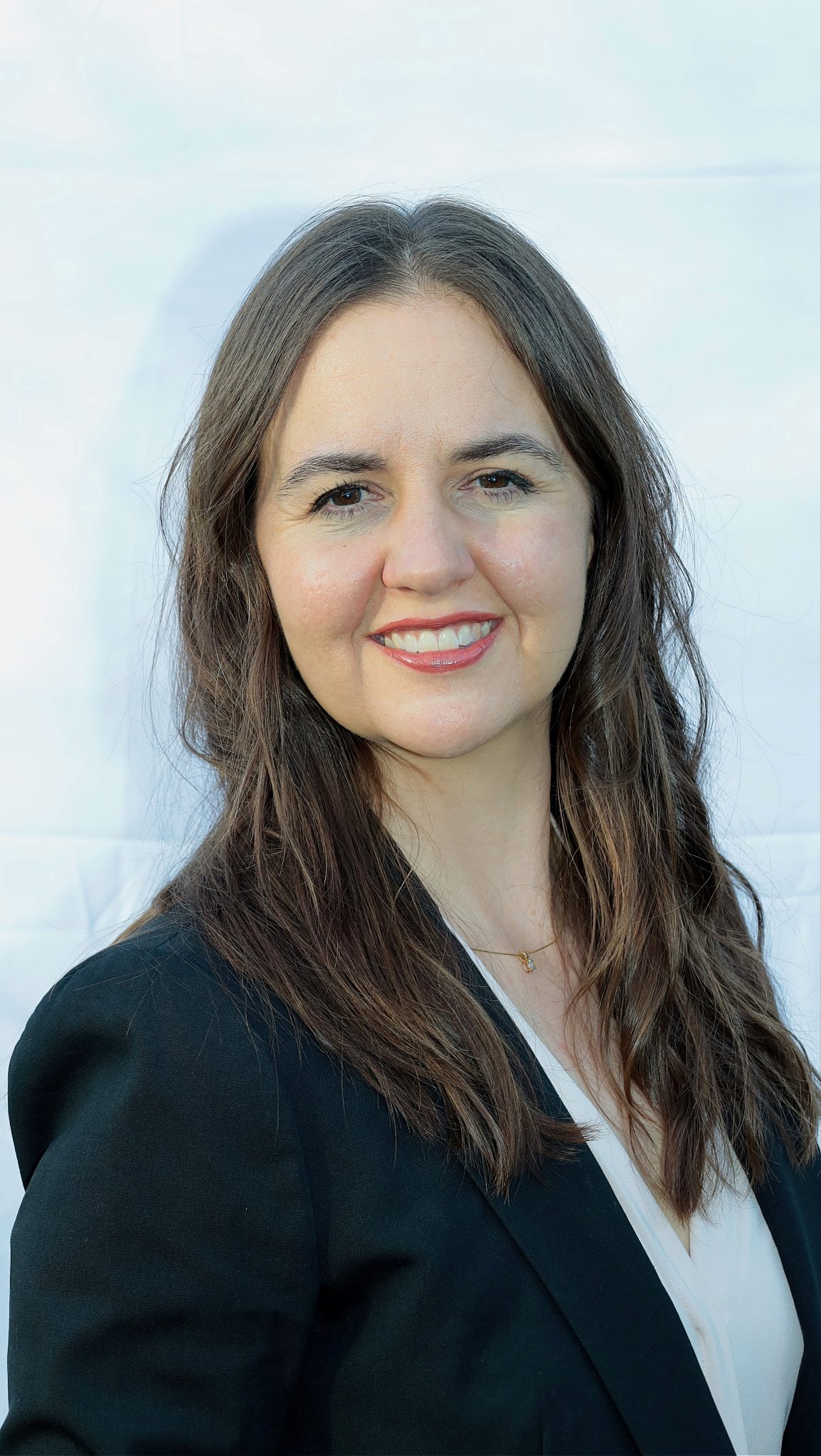 Public Service Attorneys in Idaho Insights and Perspectives Working in