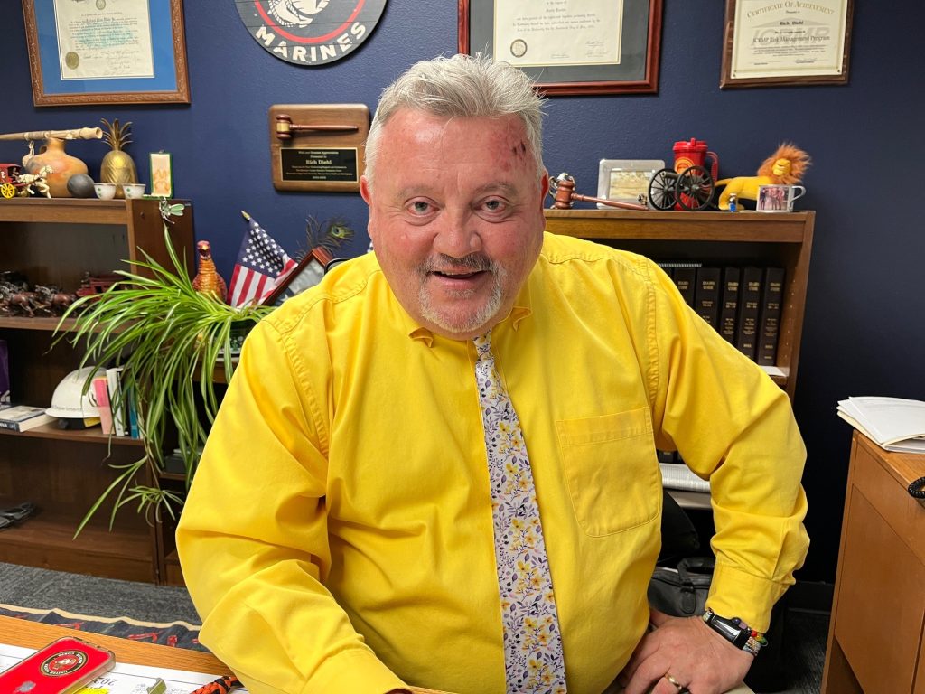 Professionalism - Diehl, Richard